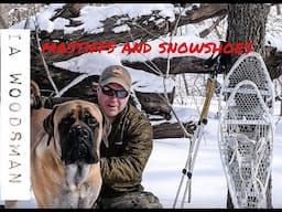 Snowshoes and Mastiffs