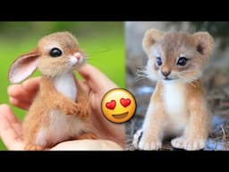 Cute Baby Animals Videos 😽🐾 TikTok Compilation 2023 | Cute moments | JoysPets