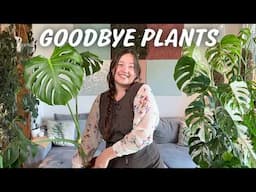 Reducing my Houseplant Collection & Selling Plants from Home