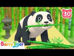 Zoo Song & MORE Animal Songs | Fun Kids Songs & Nursery Rhymes by BarryTiger