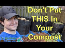 Wood Chips Are Great For The Garden, But Don't Compost THIS Kind!