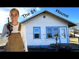 Renovating My $1 House (Week 10)