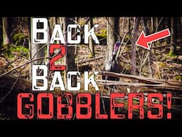 Back to Back Gobblers- Amazing Spring Turkey Hunting