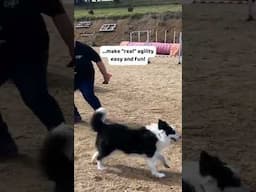 Simple Foundation for Agility exercises make dog agility easy and fun!