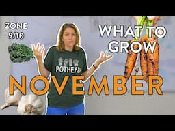 November Planting Guide for Zones 9 & 10 & Explaining The Fall Effect