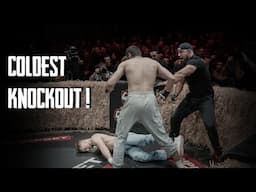 The Most Brutal KO and Fights of Bare-Knuckle Boxing TOP DOG 31 ! (HIGHLIGHTS)