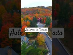 Autumn Colors in Canada #fallcolors #fall #autumn #autumnleaves