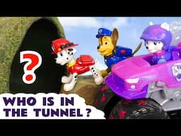 Can Roxi help Chase and Marshall get in to the tunnel?