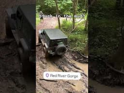 Jeeps get stuck in mud? #mudding #offroad #jeep