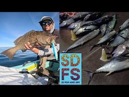 Fishing Baja California Grouper Wahoo Yellowfin Tuna | San Diego Sportfishing Report Long Range SDFS