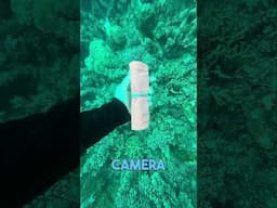 Oceanic iPhone Underwater Housing vs GoPro 12