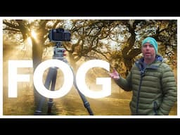 This is Why fog changes everything in photography!