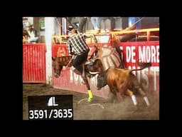 Jaripeo de peligro Lienzo el charro Michoacán “En vivo”