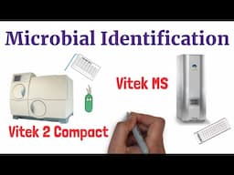 Microbial Identification | Vitek 2 Compact | Vitek MS     ​​⁠