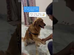 How to Impress Guests🤭😂#funnydogs#petparents #doglovers #vetsdiary#dogvideos #funnydogs#cutedog#love