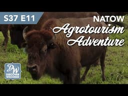 NATOW - An Agritourism Adventure