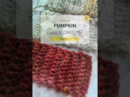 Crochet Pumpkin {Single Crochet Ribbing}