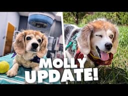 Molly Beat Cancer