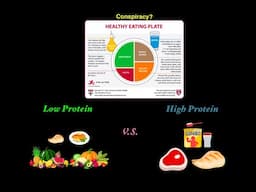 Why Health Guidelines Recommend Majority Plant Based Diet (Brief Summary In Description)