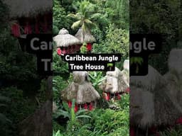 BEAUTIFUL Caribbean Jungle Tree House Eco-Resort @DominicanTreeHouseVillage #treehouse #hotel