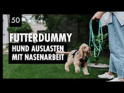 Futterdummysuche: So förderst du die Sinne deines Hundes | Tag 50