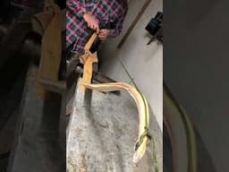 The Bowyer's Workshop: Recurve Bow