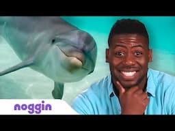 Emmanuel Sorts Ocean Animals From Big To Small! 🐋 Noggin Knows: Science | Noggin