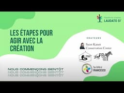 Webinaire: Les étapes pour agir avec la création