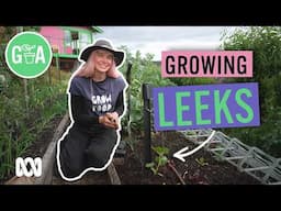 How to Grow Leeks | Growing Fruit and Vegies | Gardening Australia