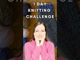 Can I Knit a Sock in ONE DAY? #knittingchallenge