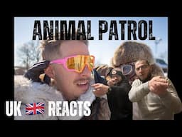 ANIMAL PATROL - PROF (UK Independent Artists React) PROF BRO YOU ARE WILD... AND ITS BRILLIANT!