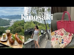 Driving to Kinosaki Onsen for a night🍃$250 Hotel free flow buffet/alcohol?!