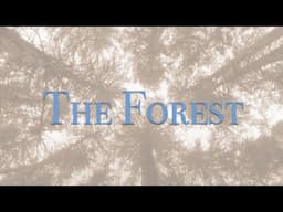 "The Forest"  by Olive Graham