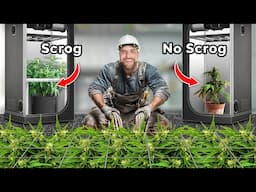 How to Build a Scrog Frame for Massive Yields | Scrog School Episode 20