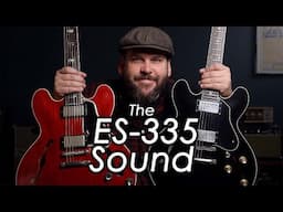 Why You Need An ES-335!