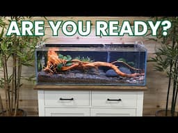 AVOID COSTLY MISTAKES! Watch This BEFORE Buying Your First Aquarium