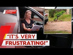 Family cops repeated fines for parking car in own driveway | A Current Affair