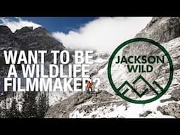 One week to learn all you need to become a wildlife filmmaker - Volunteer at Jackson Wild