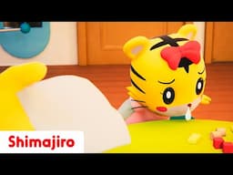 🎶NEW SONG!🤧Wipe Your Nose & Feel Better! 🤗Learn Good Habits with Shimajiro & Hanna 🐯 Songs for Kids🎵