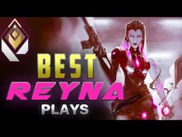 REYNA MONTAGE #8 BEST REYNA PLAYS | VALORANT MONTAGE #HIGHLIGHTS