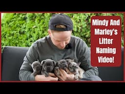 Mindy And Marley's Litter Naming Video!