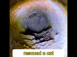 Man carefully rescues a cat that was stuck in a drainpipe!