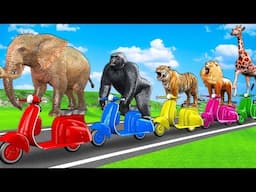 Learn Wild Animals On Scooter Toys For Kids - Animals Drink Fruits Juice | Animals Names & Sounds