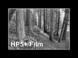 Ilford HP5+ Black and White Film, Not What I Expected