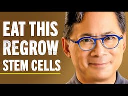 Top Food Hacks To Regenerate Stem Cells, Boost Brain Health & Improve Circulation | Dr. William Li