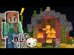 The Social Game - Wild life - Episode 5