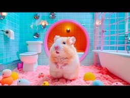 Live 🛑🐹 Hamster’s Epic Escape from the Water Maze in Real Life ⚠️ Hamster Life