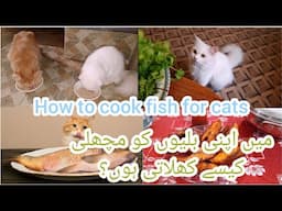 Homemade Fish cat food | How to make cheap homemade cat food at home | Fish recipe for cats