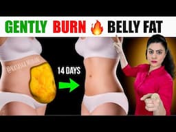 Easy Gentle Exercises To Burn Belly Fat In 14 Days | Beginners Standing Belly Fat Workout No Jumping