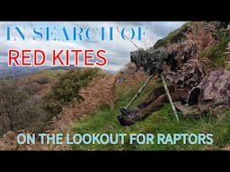 IN SEARCH OF RED KITES- USING HEIGHT TO GET BETTER SHOTS-UK RAPTORS